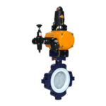 Control Lined Valves